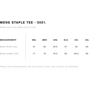 NEWSTEAD FNC - STAPLE TEE - NAVY - MENS